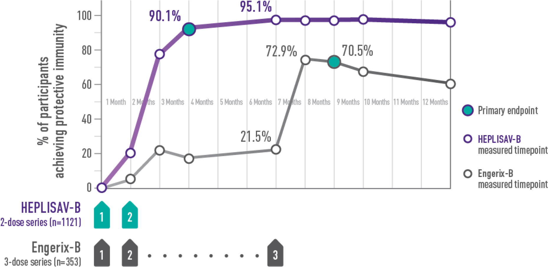 In study 2, 90.1% of adults aged 40-70 years who received HEPLISAV-B 2-dose series (n=1121) achieved protective immunity by month 3 (primary endpoint). 95.1% achieved protective immunity by month 6 and this remained steady through the 12-month mark. 21.5% of adults aged 40-70 years who received Engerix-B 3-dose series (n=353) achieved protective immunity by month 6. 72.9% achieved protective immunity by month 7, and 70.5 achieved protective immunity by month 9 (primary endpoint) and this declines slightly through the 12-month mark.